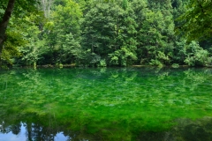 龍ヶ窪の池（津南町）